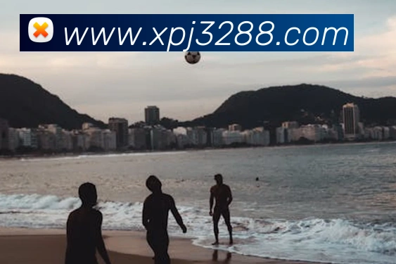 xpj服务体系
